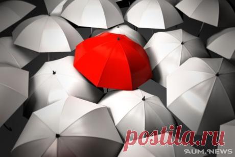 Как попробовать разгадать свой сценарий? - AUM News