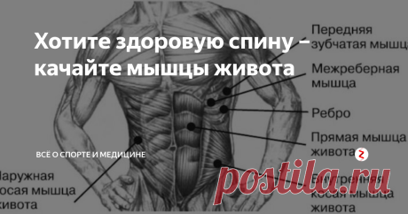 Хотите здоровую спину – качайте мышцы живота Хотите здоровую спину – качайте мышцы живота
Упражнения для прямых мышц живота.
Выравнивание тонуса мышц, стабилизирующих позвоночный столб.
Перед тем, как Вы приступите к изучению материалов этого урока, я хочу дать несколько рекомендаций