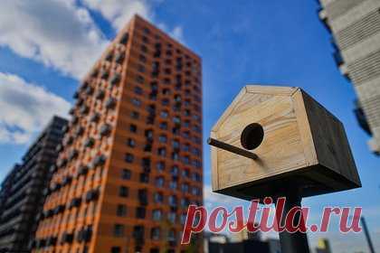 Москва установила новый рекорд на рынке жилья. По итогам 2023 года москвичи заключили небывалое количество сделок с первичным жильем. Число договоров долевого участия превысило 115 тысяч. Как сообщается, это максимальный показатель за 15 лет ведения статистики. Кроме того, за год столичные жители заключили рекордные 50 тысяч сделок с коммерческой недвижимостью.