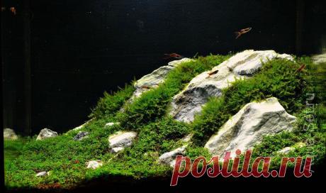 Еще один способ расстановки камней. Альпийская горка.