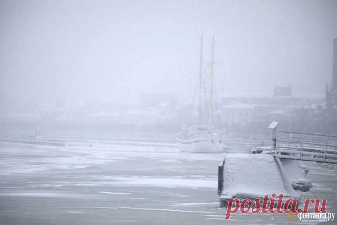 Фото и видео зимнего Петербурга, как сейчас выглядит Нева - 11 января 2025 - ФОНТАНКА.ру