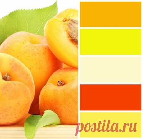 сочетание цветов