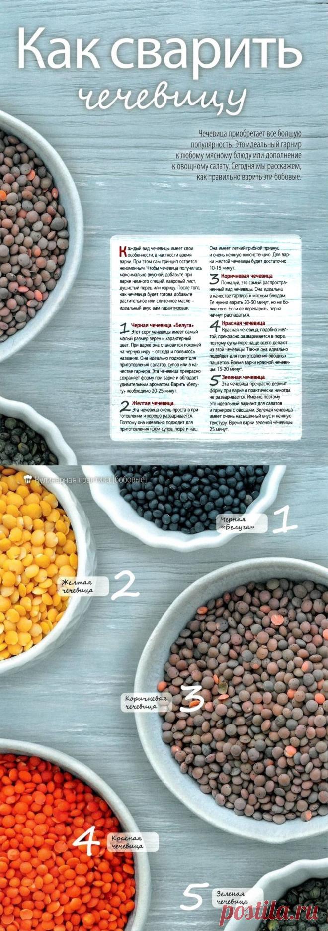 Как сварить чечевицу