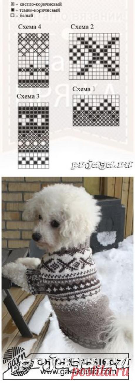 Джемпер спицами для собачек