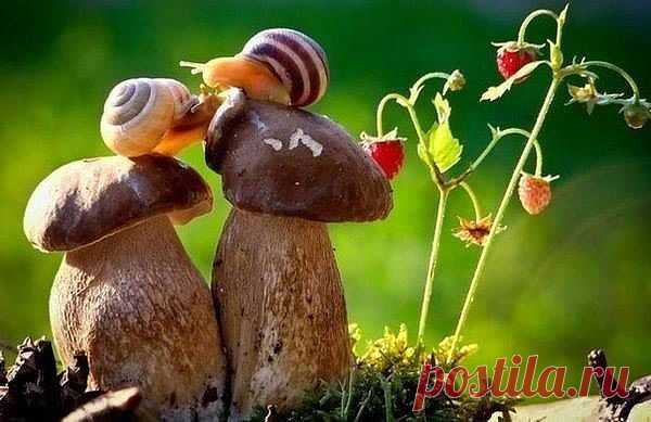 ДАРИМ  ОТЛИЧНОЕ  НАСТРОЕНИЕ!
Валентина Симоненко (Колпина)