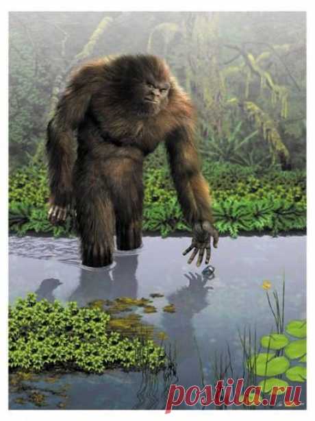 Sasquatch Art
Изображение JPEG, 407 × 543 пикселов)
