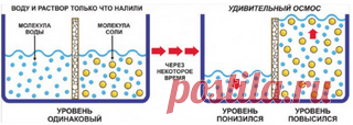10 принципов органического живого земледелия. Что такое осмос.