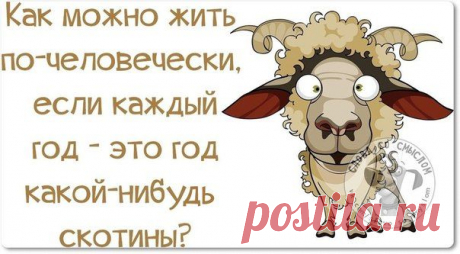 Анекдотики и картинки (юмор из интернета) / Болталка / Юмор