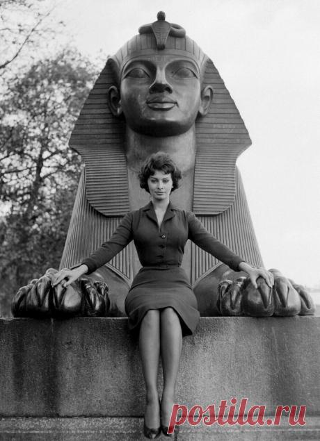 The special edition: Sophia Loren: humus — ЖЖ
