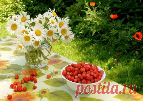 Цветочно-ягодное настроение. Приятных выходных!
#музыка