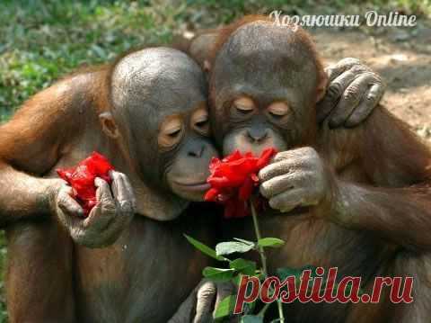 Мужчина с ревностью спросил...