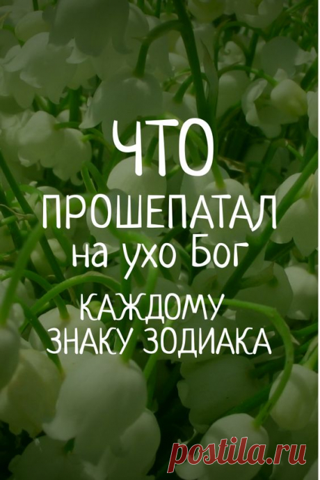 (34) Pinterest