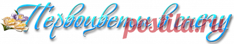Первоцветы в снегу