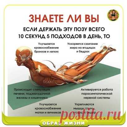 Полезное упражнение для вашего организма