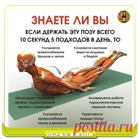 Полезное упражнение для вашего организма