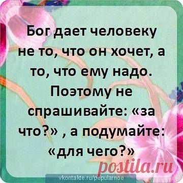 Житейские мудрости...