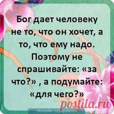 Житейские мудрости...