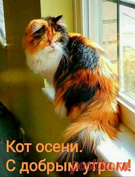 Осипова Ирина (@osbWOsHEfTMrnt9) / Twitter