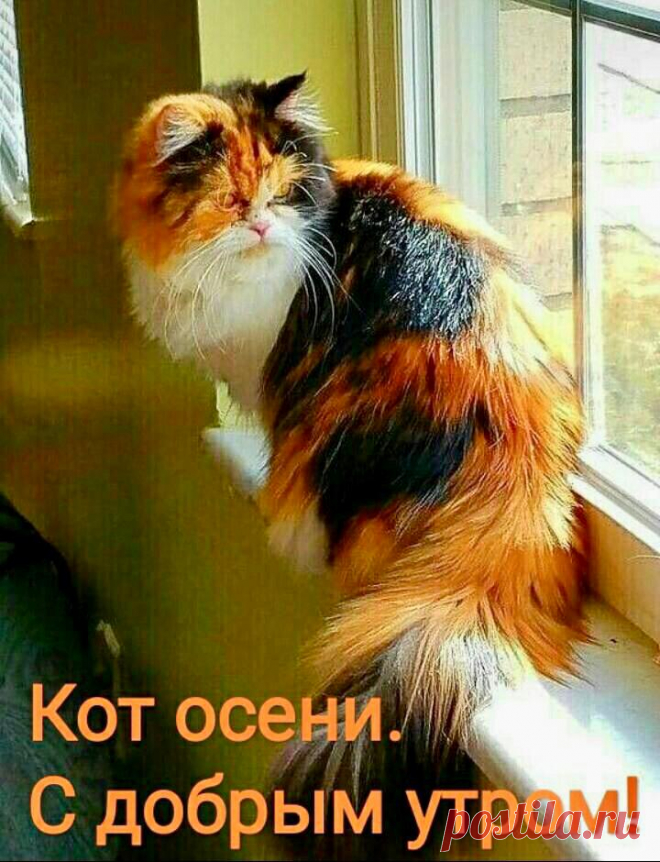 Осипова Ирина (@osbWOsHEfTMrnt9) / Twitter