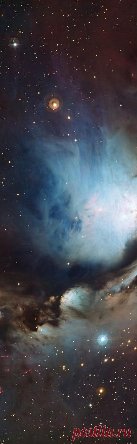 Найдено на сайте borzui.tumblr.com.