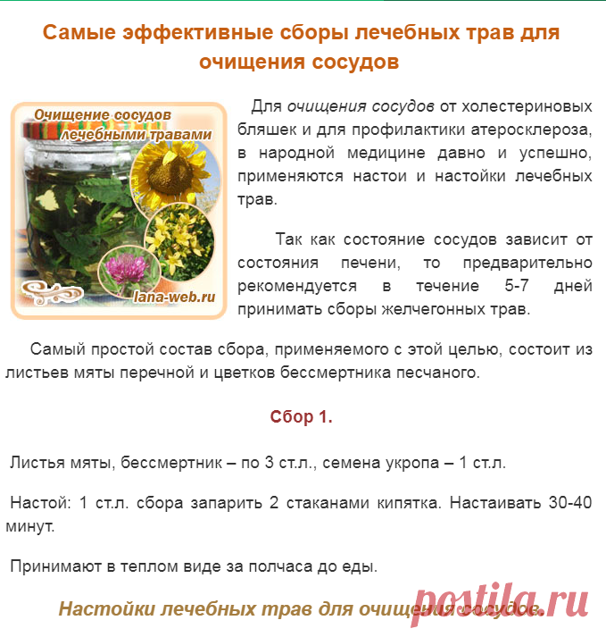 Красота, мода, здоровье