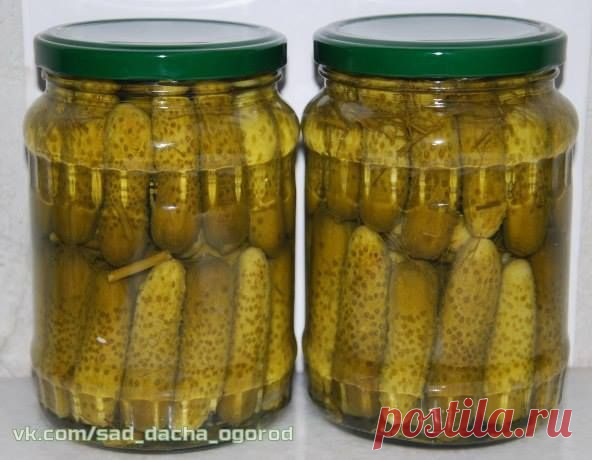 Сад, дача, огород ✔ За высокий урожай