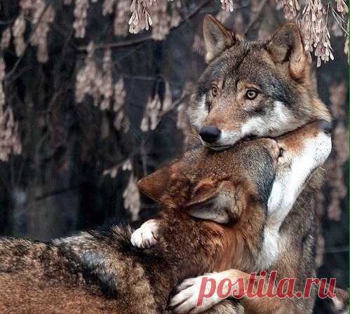 МЛ ♥ АТМОСФЕРА