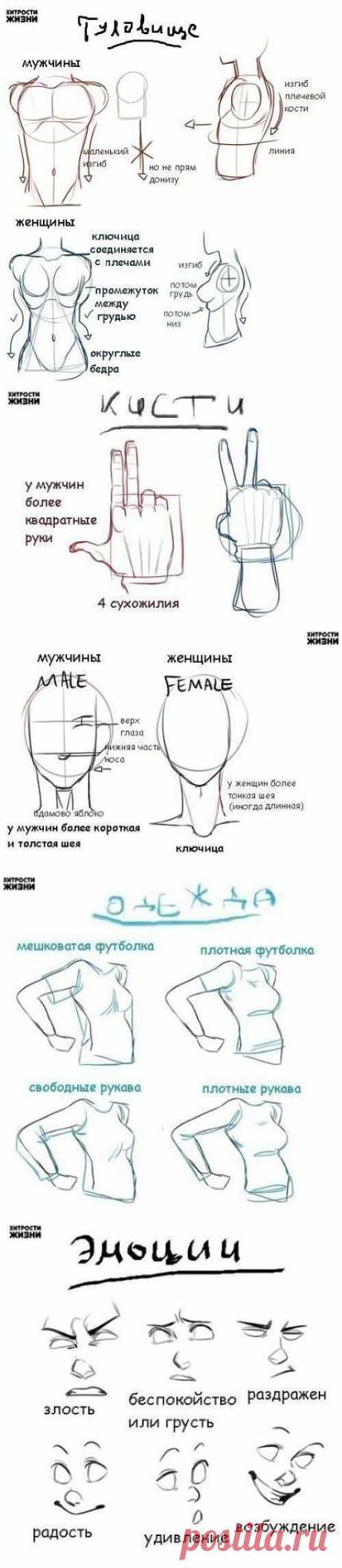 Советы по рисованию
