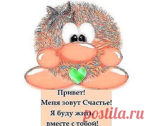 Новости