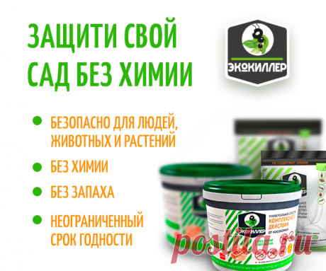 Почта Mail.ru