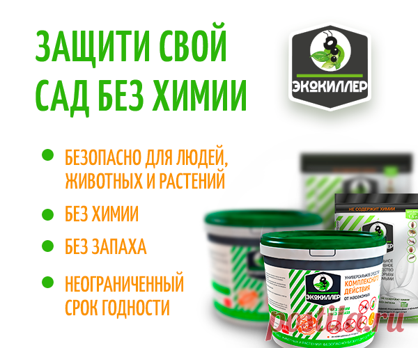 Почта Mail.ru