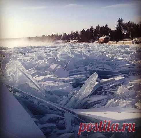 (4) Одноклассники