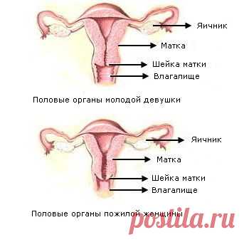 Климактерический синдром