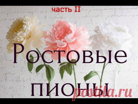 ГИГАНТСКИЕ ростовые цветы. Пион (часть II)