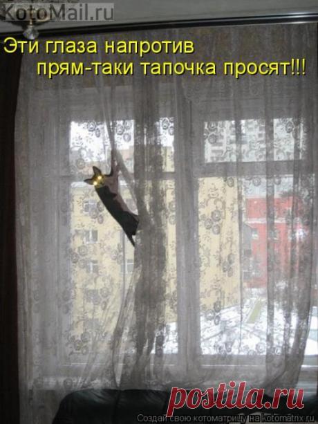 Эти глаза напротив