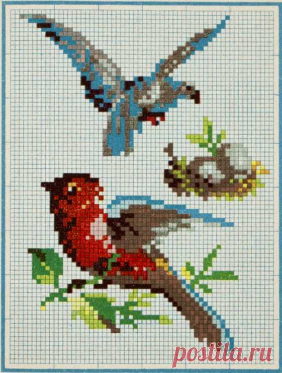 (7) Gallery.ru / Фото #5 - Ретро зоопарк - bdancer