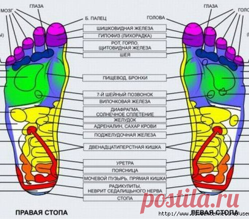 Получите доступ к любой части тела через стопу - МирТесен