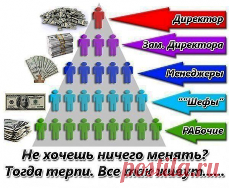 Курс Начинающего Дистрибьютора - 90 Дневный План, 1 Этап, Первые Шаги. Стоимость товара: 75 USD.