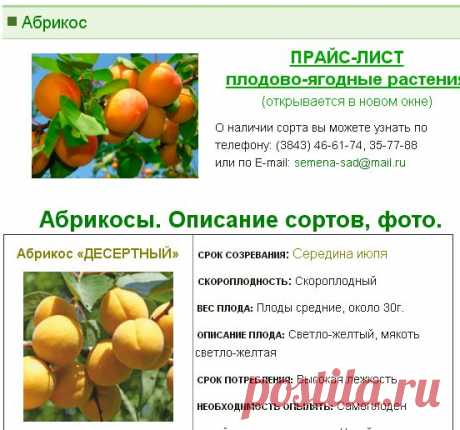 Абрикос - Садовый центр г.Новокузнецк