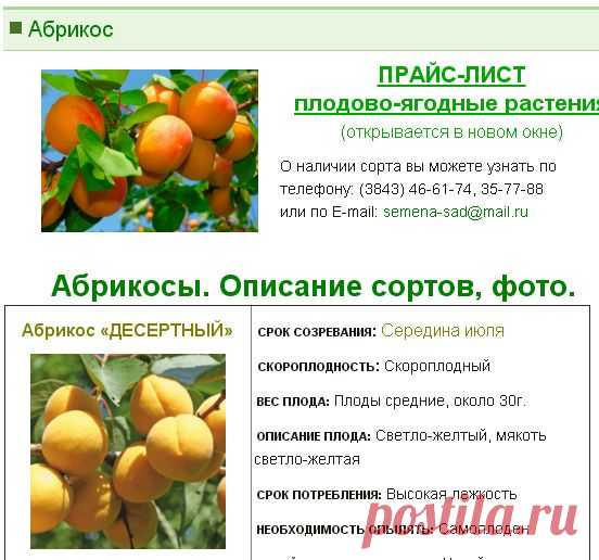 Абрикос - Садовый центр г.Новокузнецк