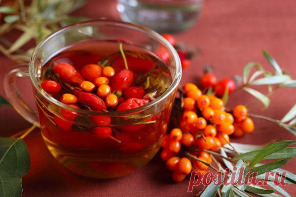 15 ФАКТОВ О ПОЛЬЗЕ ОБЛЕПИХИ