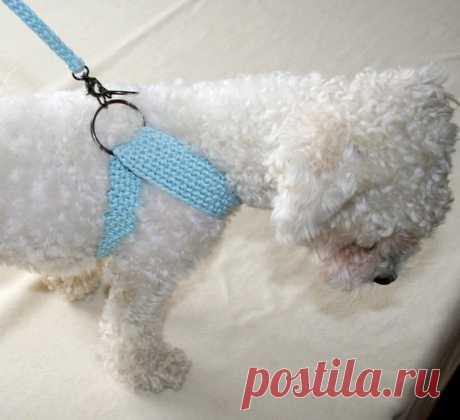 Friendly DOG harness, Matching leash, Pets Harness - Small dog harness This dog harness is friendly handmade from pure cotton .  Crochet adjustable harness for your pet. ********Please be aware that this is completely handwork so the items can not be identical. The size and color can also affect the impression based on the picture on my listing. BUTTONS or METAL