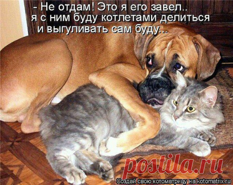 анатолий: Я ГОВОРЮ, ЧТО ДУМАЮ И ДУМАЮ, ЧТО ГОВОРЮ