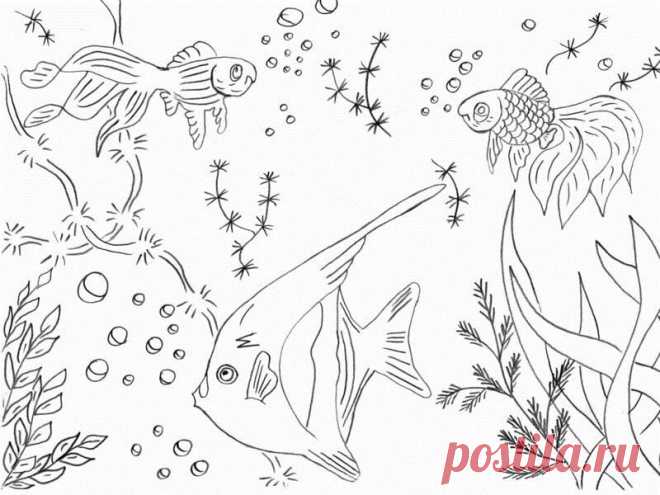 Трафареты и пленка для витражей: цветы, бабочек, картинки, детские, с рисунком (86 фото) — Этотдом