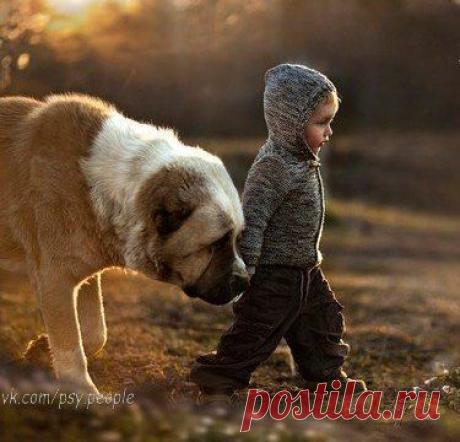 Фотографии на стене сообщества | 32 713 фотографий