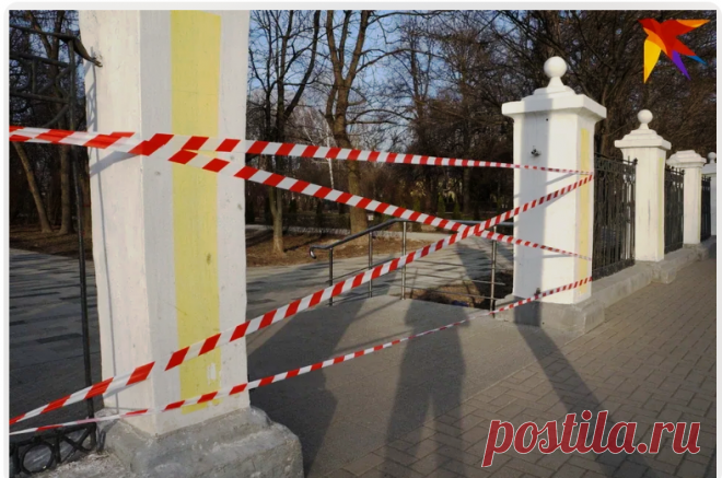 Кто и как обрушил наш иммунитет в 2021 и что теперь с этим делать? Особенно привитым! | Владимир Зуев | Дзен