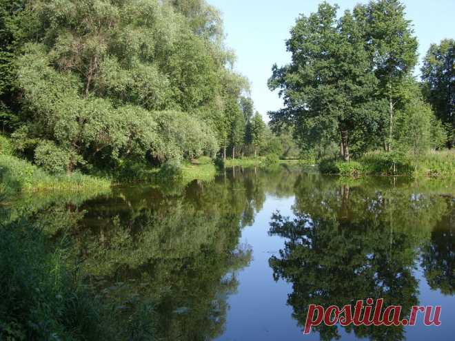 ФОТОМАСТЕРСКАЯ ПРИРОДЫ
Галина Яресько (Денисенко)