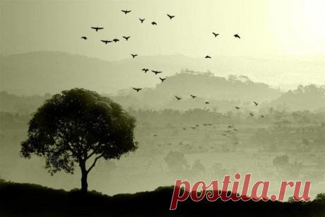 Красочная Индонезия / Туристический спутник