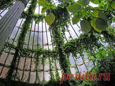 Гламур Drops - lushwithgreen: ♥