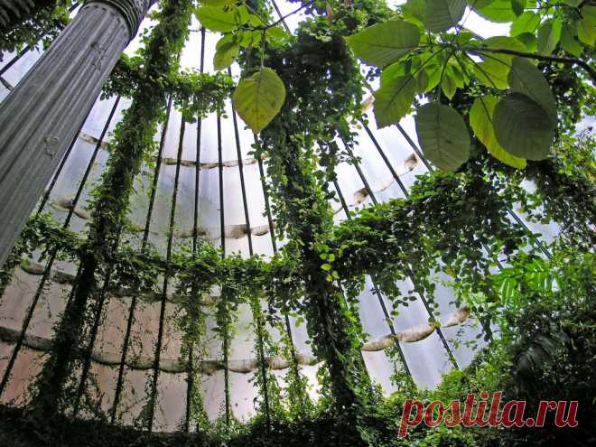 Гламур Drops - lushwithgreen: ♥